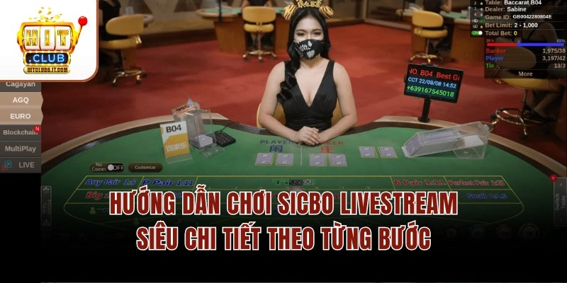 Hướng dẫn chơi Sicbo Livestream siêu chi tiết theo từng bước