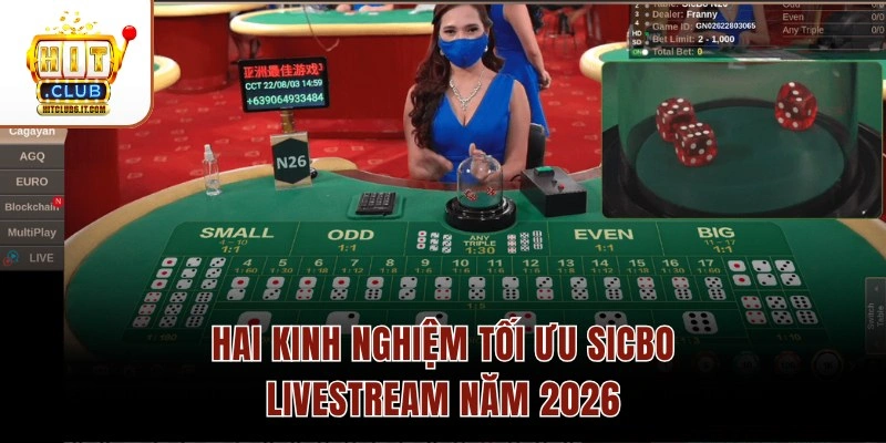 Hai kinh nghiệm tối ưu Sicbo Livestream năm 2026